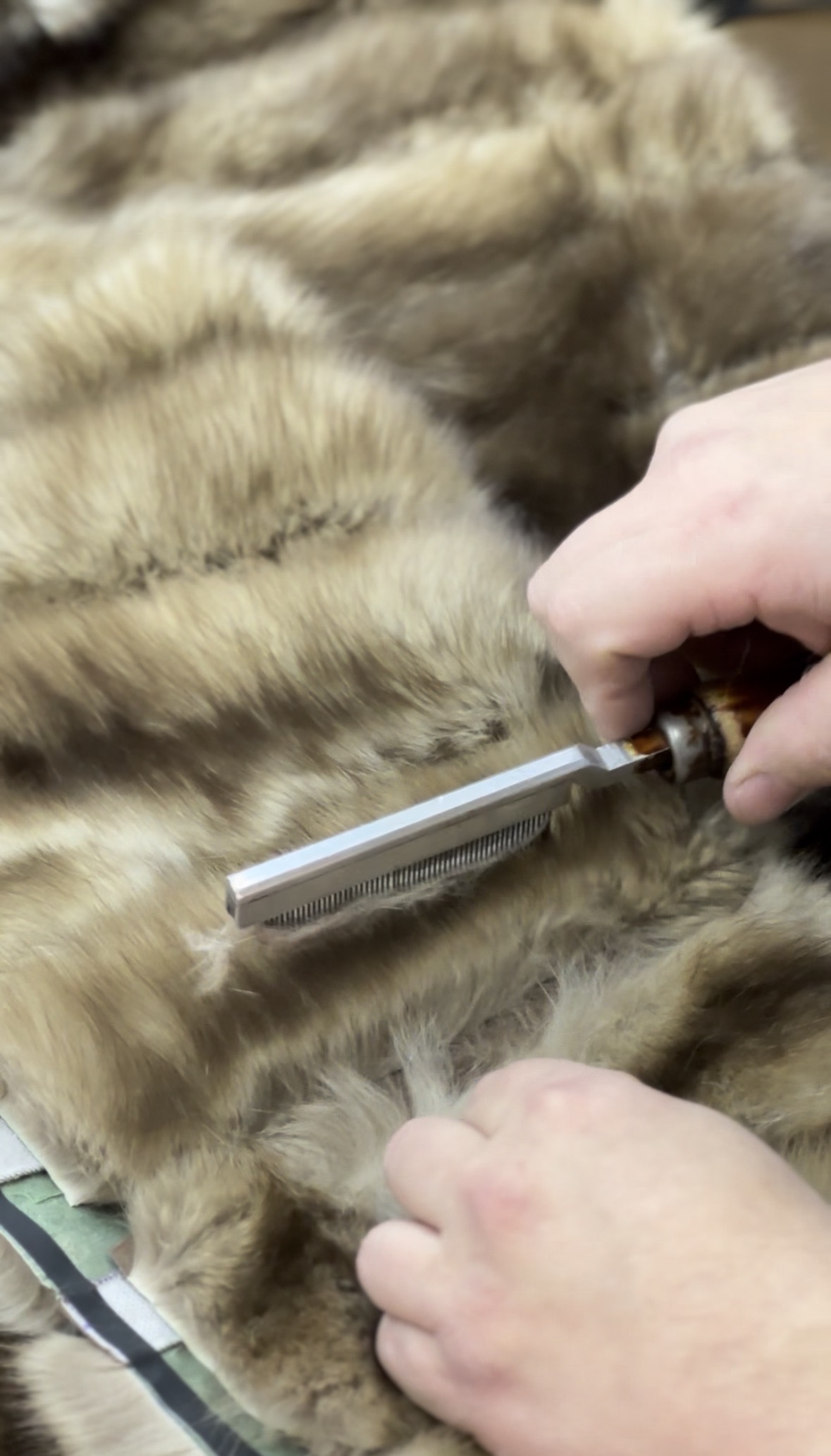 Портрет человека